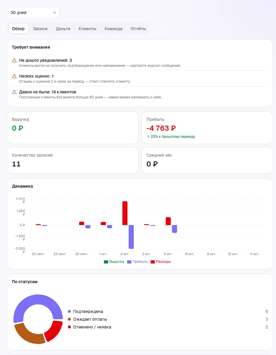 Аналитика, вкладка «Обзор» с вкладками Записи, Деньги, Клиенты, Команда, Отчёты